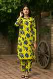 2 Pcs Women's Unstitched Printed Suit