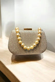 Exquisite Women's Fancy Clutch - 1 Pc in Silver and Golden